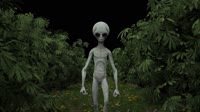 VJ LOOPS - LSD FX - Psychedelic Videos for RAVES or Dance Floors - Footage animation