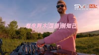 海来阿木(国语)-别知己 (VinaHouse)MV